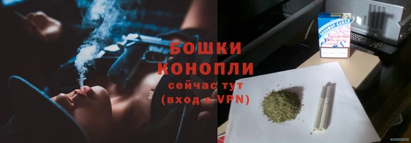 прущие грибы Белая Холуница