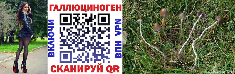 mega   закладка  Саки  Галлюциногенные грибы MAGIC MUSHROOMS 