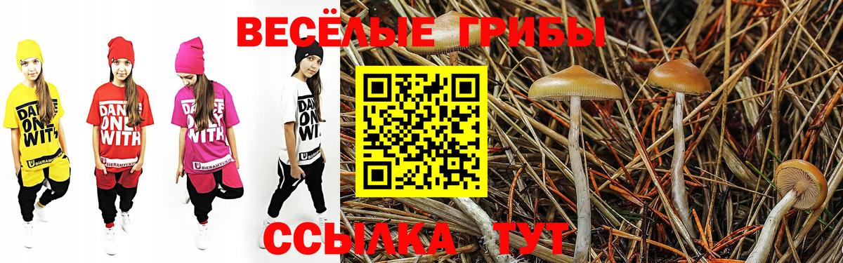 Саки  Галлюциногенные грибы Magic Shrooms  Псилоцибиновые грибы Cubensis  Вход с VPN 