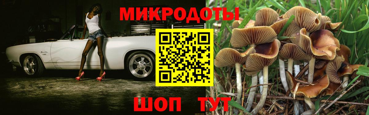 Галлюциногенные грибы Psilocybe  Псилоцибиновые грибы Magic Shrooms  Саки 